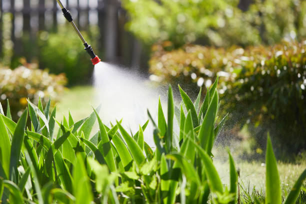 24/7 Emergency Wasp Removal experts in Johnson, AR