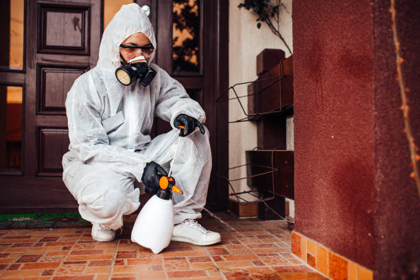 Reliable Wasp Removal contractor in Johnson, AR by Show Me Pest Control